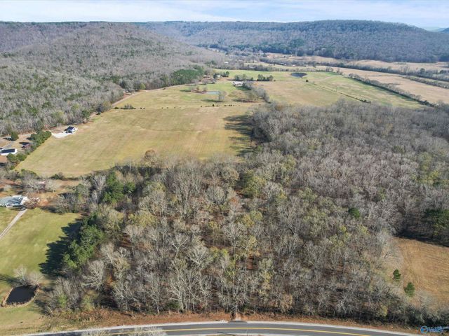 990 Cotaco Florette Road, Somerville, AL 35670