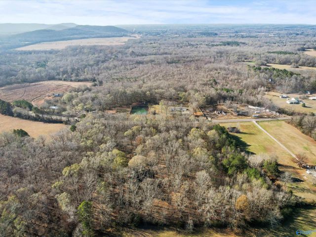 990 Cotaco Florette Road, Somerville, AL 35670