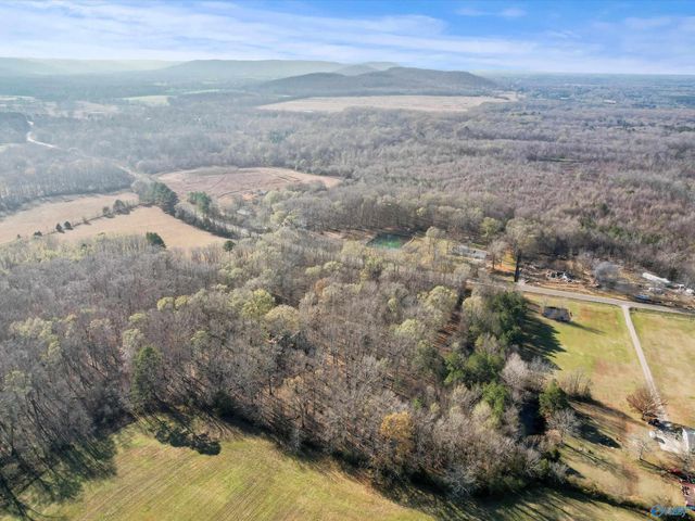 990 Cotaco Florette Road, Somerville, AL 35670