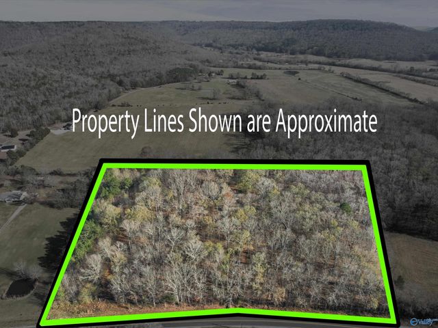 990 Cotaco Florette Road, Somerville, AL 35670