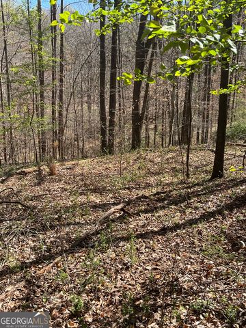 861 Boss Hardy Road, Winder, GA 30680
