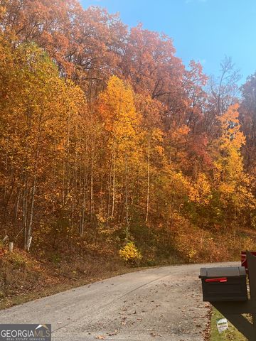 685 Long Mountain Trail, Cleveland, GA 30528
