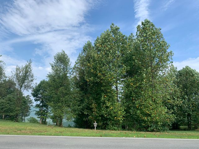 755 Sunset Circle Sv-109, Jasper, TN 37347