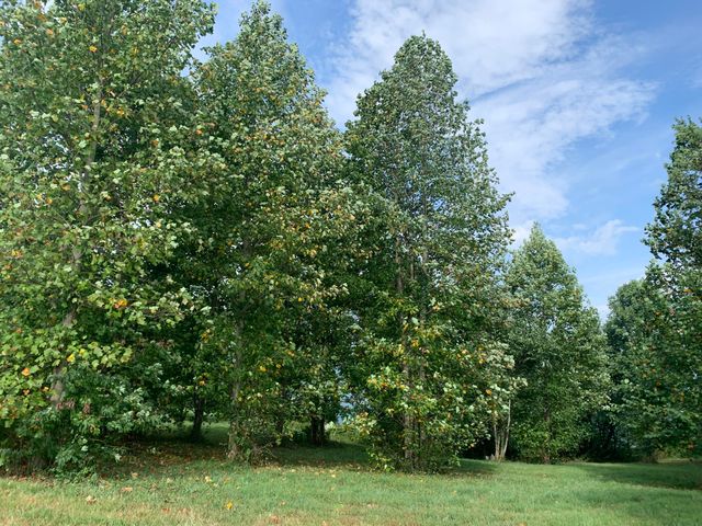 755 Sunset Circle Sv-109, Jasper, TN 37347