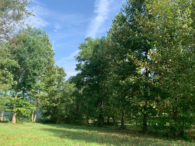 755 Sunset Circle Sv-109, Jasper, TN 37347