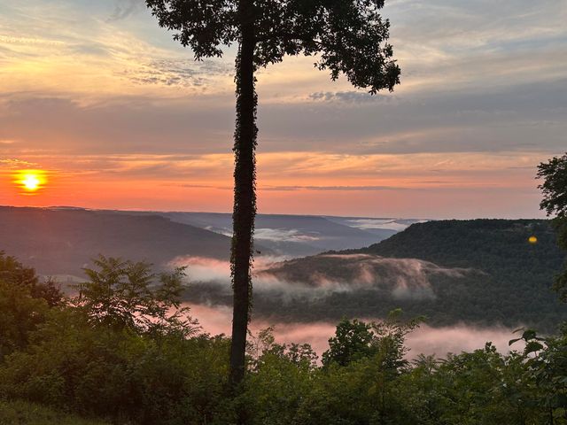 755 Sunset Circle Sv-109, Jasper, TN 37347