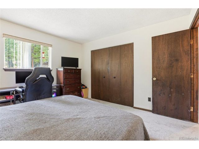 175 Mount Bailey Dr, Bailey, CO 80421