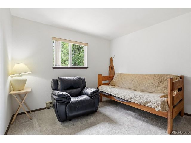175 Mount Bailey Dr, Bailey, CO 80421
