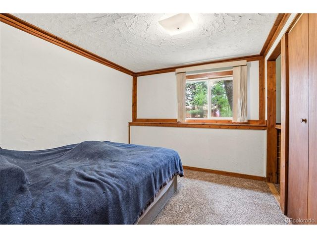 175 Mount Bailey Dr, Bailey, CO 80421
