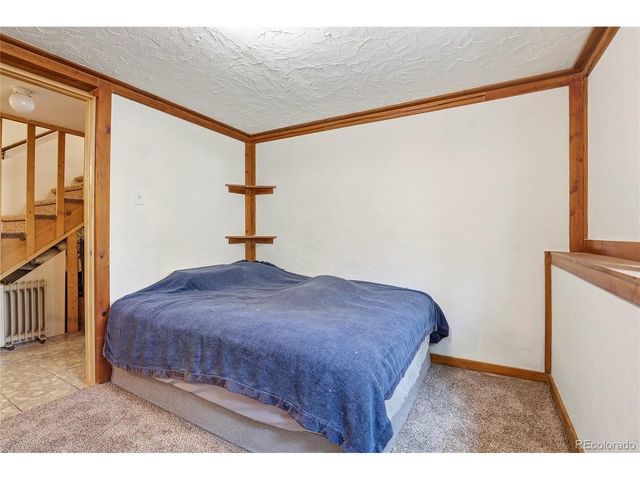 175 Mount Bailey Dr, Bailey, CO 80421