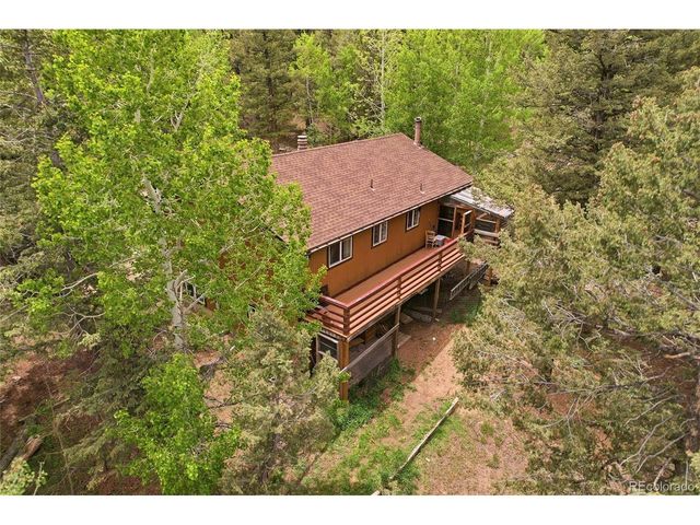 175 Mount Bailey Dr, Bailey, CO 80421