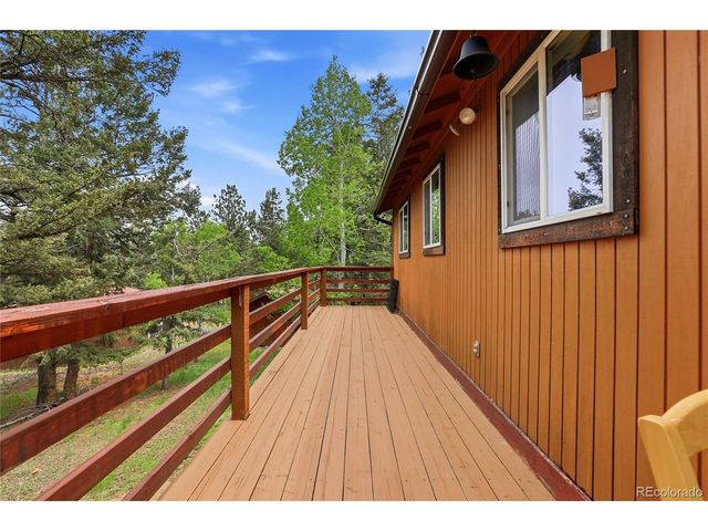 175 Mount Bailey Dr, Bailey, CO 80421