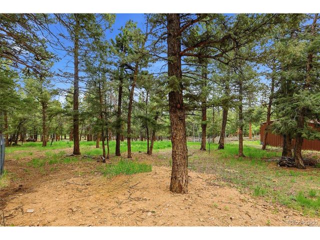 175 Mount Bailey Dr, Bailey, CO 80421