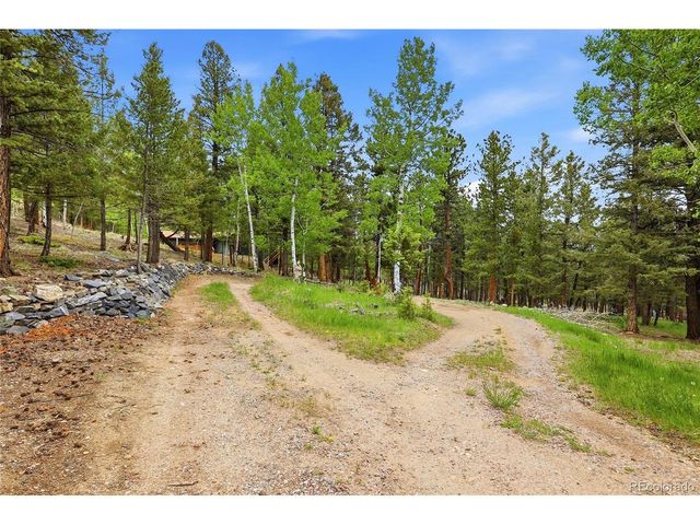 175 Mount Bailey Dr, Bailey, CO 80421