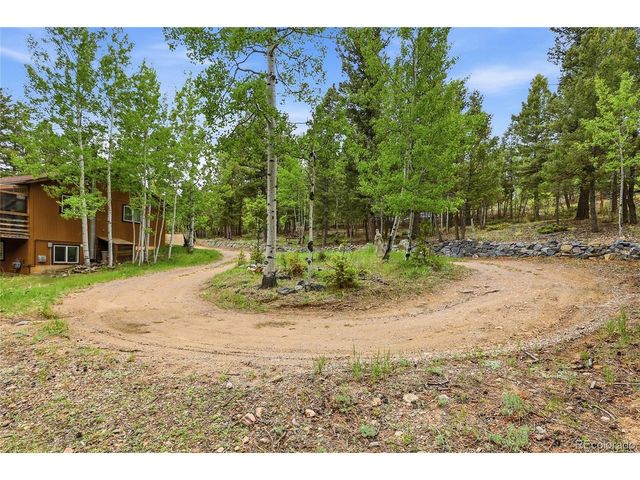 175 Mount Bailey Dr, Bailey, CO 80421