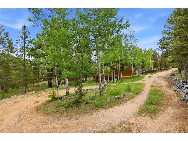 175 Mount Bailey Dr, Bailey, CO 80421