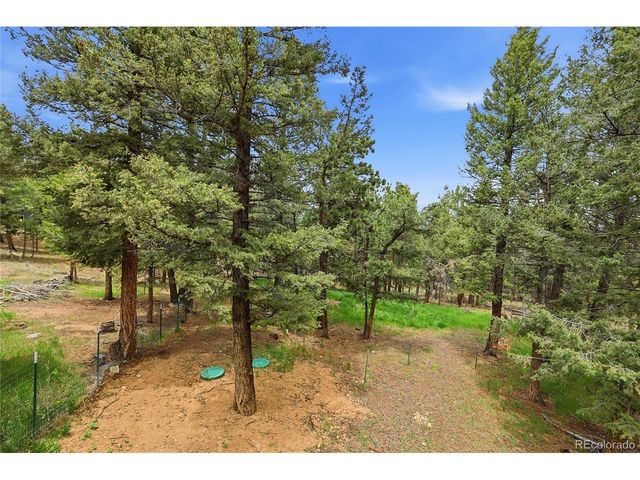 175 Mount Bailey Dr, Bailey, CO 80421