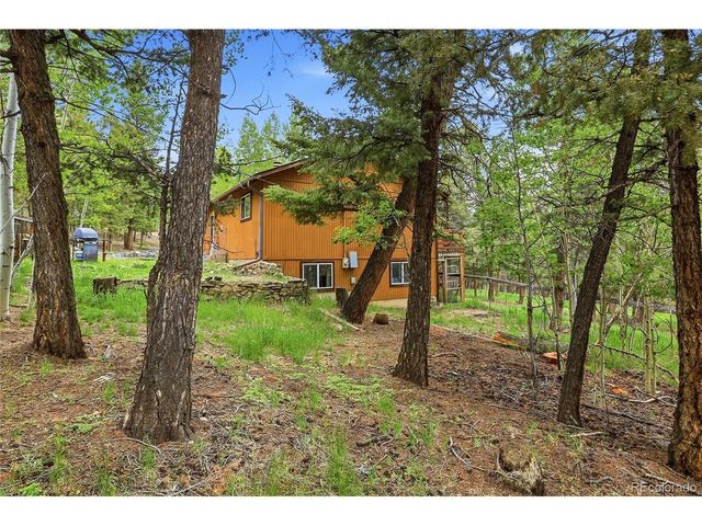 175 Mount Bailey Dr, Bailey, CO 80421