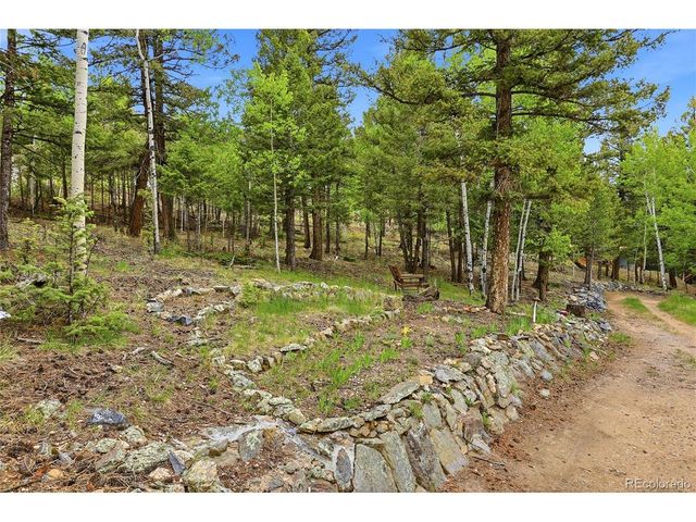 175 Mount Bailey Dr, Bailey, CO 80421