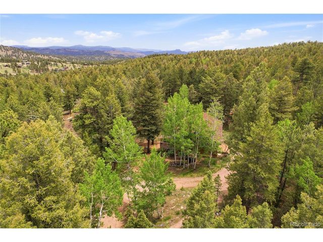 175 Mount Bailey Dr, Bailey, CO 80421
