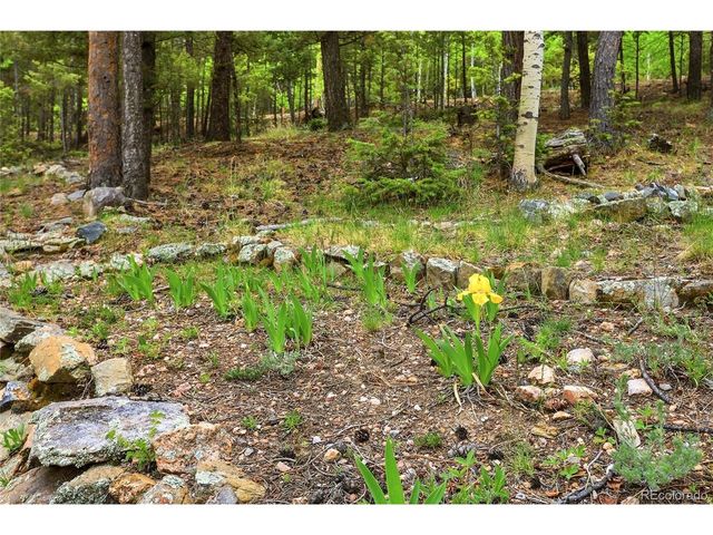 175 Mount Bailey Dr, Bailey, CO 80421