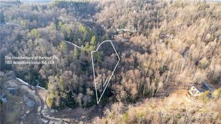 TBD Woodlake Loop Road LL9, Elk Park, NC 28622