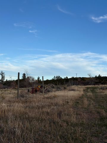 245 County Road 338, Parachute, CO 81635