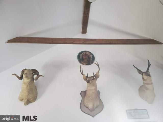 163 HICKORY RIDGE RD, Mill Hall, PA 17751