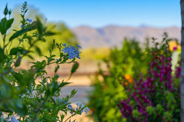29311 N 156TH Street, Scottsdale, AZ 85262