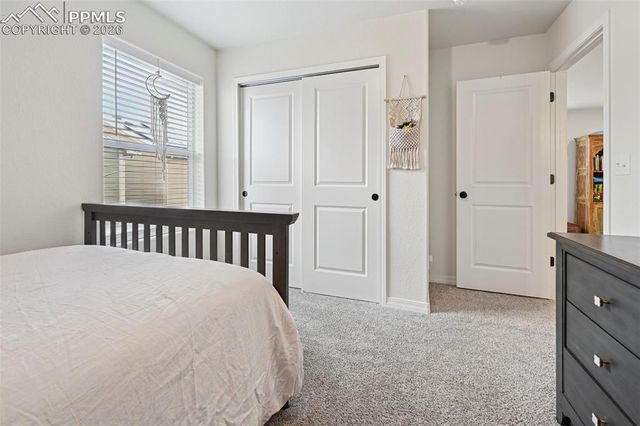 6382 Barr Point, Colorado Springs, CO 80924