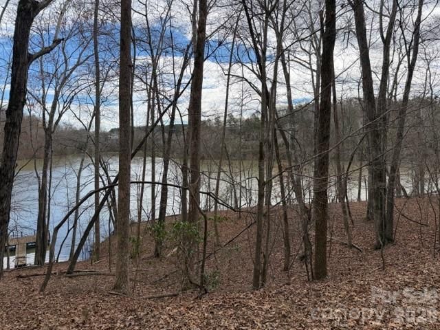 35 Mountain Parkway, Mill Spring, NC 28756
