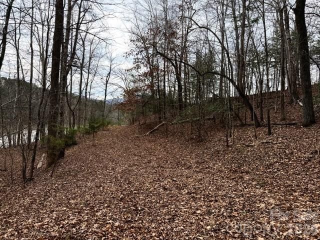 35 Mountain Parkway, Mill Spring, NC 28756