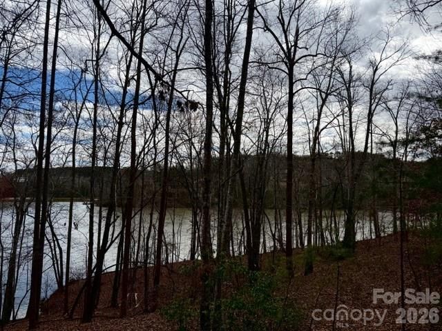 35 Mountain Parkway, Mill Spring, NC 28756