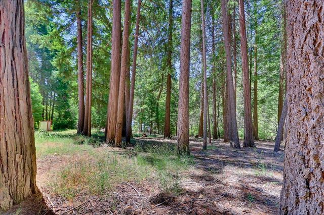 12002 Snowbourne Rd., Nevada City, CA 95959