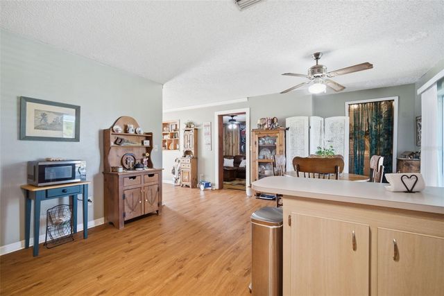 12461 HOBSON SIMMONS ROAD, Lithia, FL 33547