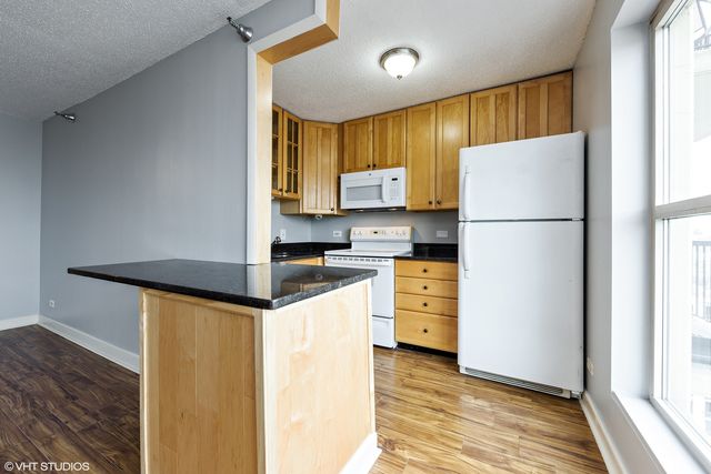 1212 N La Salle Drive 2406, Chicago, IL 60610