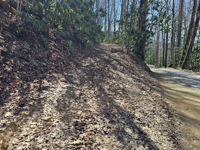 16 Warrior Way, Andrews, NC 28901