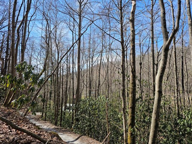 16 Warrior Way, Andrews, NC 28901