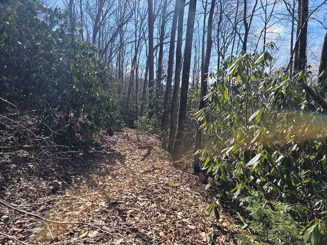 16 Warrior Way, Andrews, NC 28901
