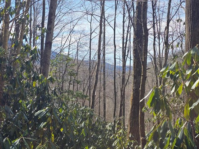 16 Warrior Way, Andrews, NC 28901