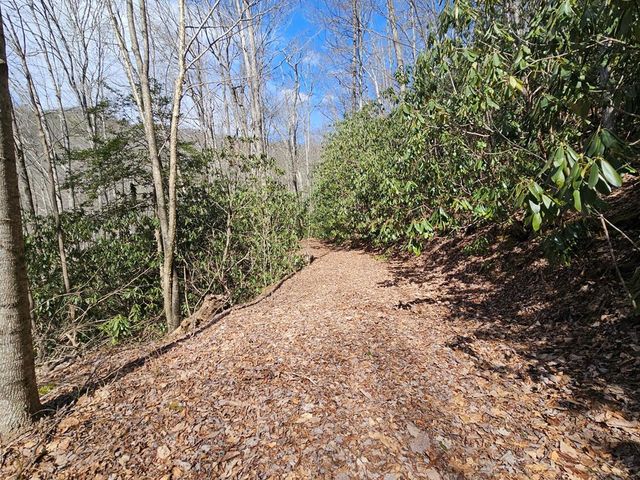 16 Warrior Way, Andrews, NC 28901
