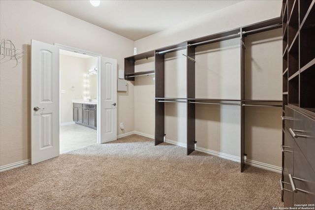 10269 Shadowy Dusk, Schertz, TX 78154