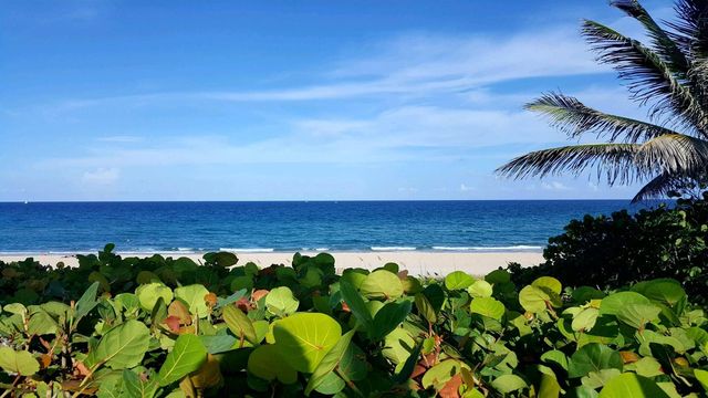 640 Snug Harbor Drive F3, Boynton Beach, FL 33435