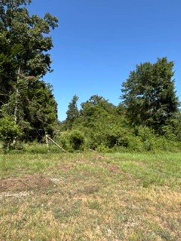 TBD CR 488, Normangee, TX 77871 — photo 5