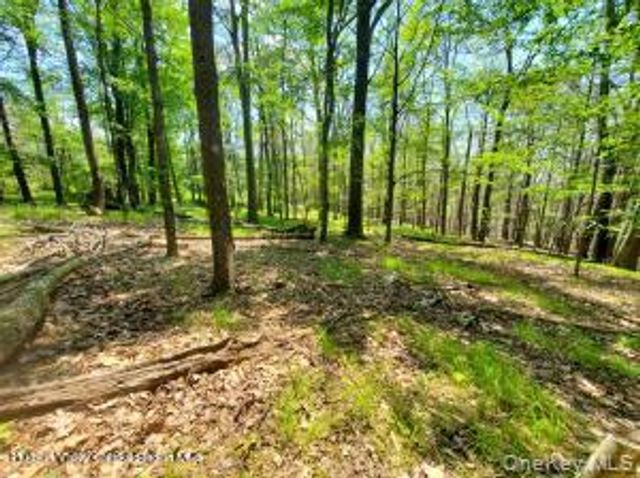 TBD Piney Lane, Cragsmoor, NY 12420