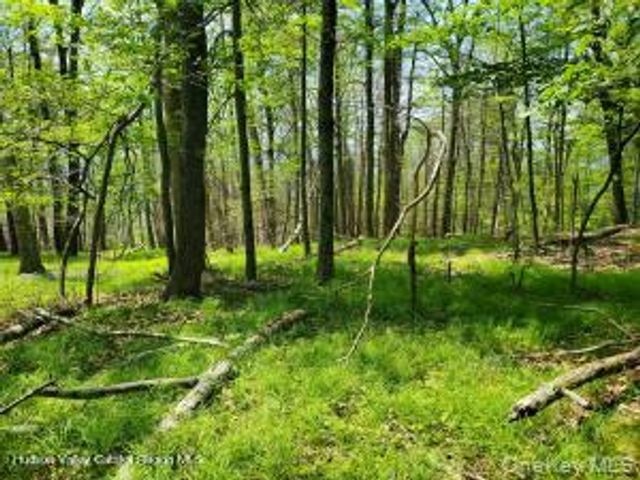 TBD Piney Lane, Cragsmoor, NY 12420