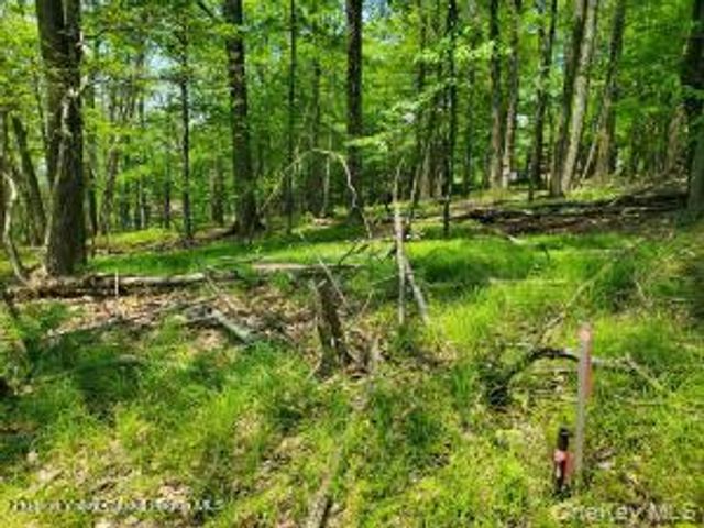 TBD Piney Lane, Cragsmoor, NY 12420