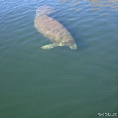 2622 N Carnoustie Loop, Lecanto, FL 34461