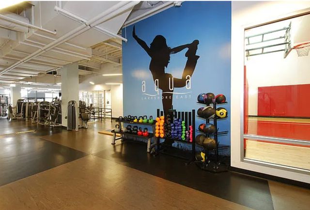 225 N Columbus Drive 6504, Chicago, IL 60601