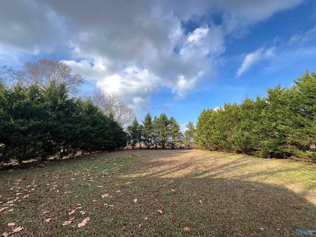 117 Hubert Road, New Market, AL 35761